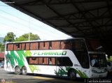 Expresos Flamingo 0118 Busscar Panormico DD Mercedes-Benz O-500RSD