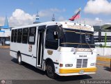 A.C. de Transporte Larense 50, por Aly Baranauskas