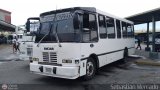 Cooperativa de Transporte Falcn 51