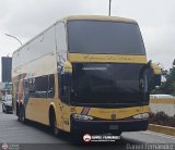 Expresos Los Llanos 229