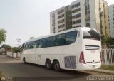 Transporte Clavellino 224
