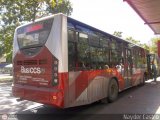 Bus CCS 1304 por Nayder Castro