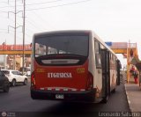 E.T. y Servicios Guadulfo Silva Carbajal (Per) 726