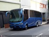 Uso Oficial 0000 Busscar Micruss Desconocido NPI