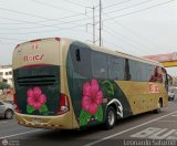 Transporte Flores Hermanos S.R.L (Per) 955, por Leonardo Saturno