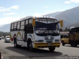 Colectivo Los Andes (Mrida - El Vigia) 14