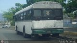 CA - A.C. Servicios de Transporte Santa Ins 37