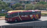 Empresa de Transporte Per Bus S.A. 395, por Leonardo Saturno