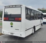 A.C. de Transporte Larense 44, por Kimberly Guerrero