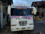 A.C. Transporte Paez 049