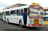 Colectivos Cachiri 11, por El Niobs