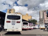 Garajes Paradas y Terminales Nuevo-Circo-JS