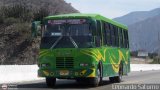 Colectivo Los Andes (Mrida - El Vigia) 27