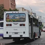 DC - Unin Criollos del Este S.C. 303, por Leonardo Saturno