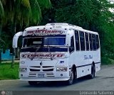 A.C. Mixta de Transporte Tchira Mrida R.L. 0007, por Leonardo Saturno