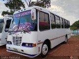 Transporte Tren al Sur C.A. 06