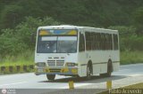 A.C. de Transporte Encarnacin 346