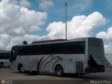 Expresos La Guayanesa 321 por M�guel Pino