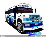 Diseos Dibujos y Capturas (006) Blue Bird Convencional No Integral Ford Turbo Diesel