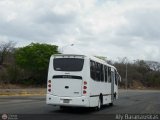 Particular B-09