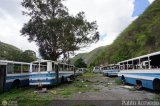 En Chiveras Abandonados Recuperacin 