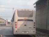 Particular A28