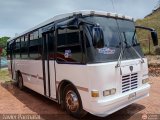 Transporte Tren al Sur C.A. 01, por Javier Parmalat 
