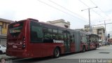 Trolmerida - Tromerca 03