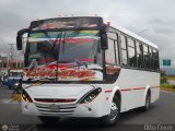 A.C. Mixta Fraternidad del Transporte R.L. 110