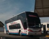 Ejecutivos Carla Tours 1001 por M�guel Pino