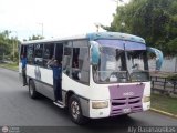 CA - Unipal Las Palmitas 163 Fanabus Cruiser F-2900 Iveco 100E18