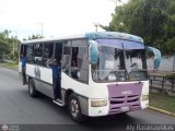 CA - Unin Las Palmitas 163 Fanabus Cruiser F-2900 Iveco 100E18