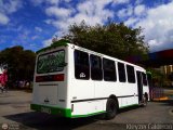 Lnea Los Caracoles (San Juan - Mrida) 33, por Kleyzer Caldern