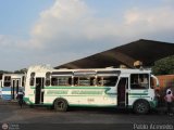 Expresos Bolivarianos 51 Superpolo - Superior Urbano Conv 2G Chevrolet C-60