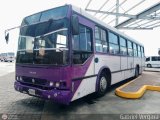 Organizacin Guaicamacuto 634