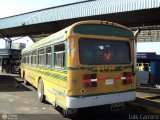 ZU - Colectivos Concepcin 018 Encava Culebra Ciega Encava Cummins Grande