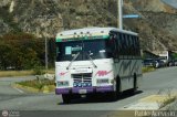 Unin Expresos Tovar 12