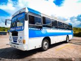 Expresos Delicias 31