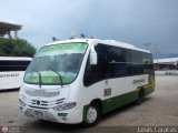 Sin identificacin o Desconocido 847 Marcopolo Senior GV Agrale MA 8.5