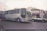 Expresos Flamingo 54