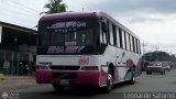 MI - Transporte Paran 024