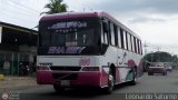 MI - Transporte Parana 024