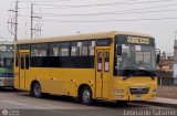 Particular 738