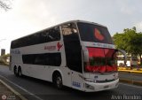 Los Pjaros de Lara 005, por Alvin Rondn