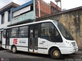 Uso Oficial 15 Intercar Borota Iveco Serie TurboDaily
