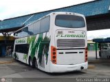 Expresos Flamingo 0061
