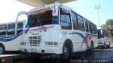 A.C. Transporte Paez 045, por Yenderson Fernandez C.