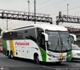 Expreso Internacional Palomino 672