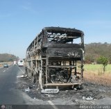 En Chiveras Abandonados Recuperacin 216