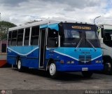 A.C. Transporte Paez 006, por Antonio Mittilo